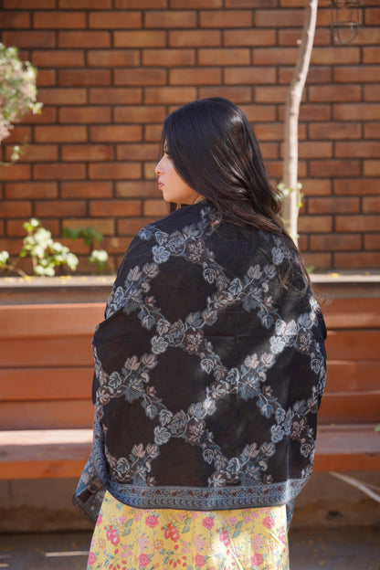 Kani Allure Stole - Blue